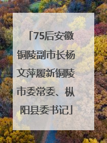 75后安徽铜陵副市长杨文萍履新铜陵市委常委、枞阳县委书记